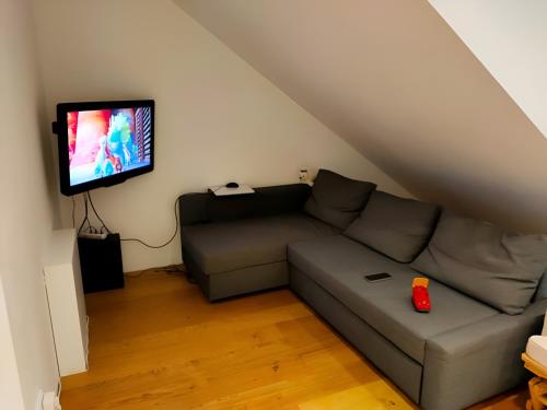 uma sala de estar com um sofá e uma televisão de ecrã plano em Zimmer 31qm inkl. Duschbad em Hamburgo