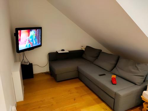 a living room with a couch and a flat screen tv at Zimmer 31qm inkl. Duschbad in Hamburg