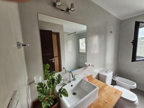 a bathroom with a sink and a toilet and a mirror at Posada del Atelier in San Antonio de Areco