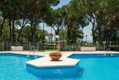 una piscina con un vaso di fiori al centro di Playa Del Duque Apartment Ocean Club 1 a Marbella