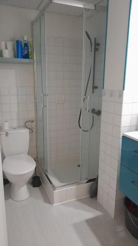 une salle de bain avec douche et toilettes dans l'établissement Studio cosy en rez-de-chaussée, à Bourbonne-les-Bains