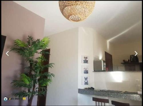 a living room with a potted plant and a ceiling at Maravilha em Tibau do Sul in Tibau do Sul