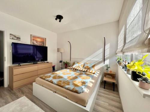 um quarto com uma cama grande e uma televisão de ecrã plano em Beautiful place central Budapest em Budapeste