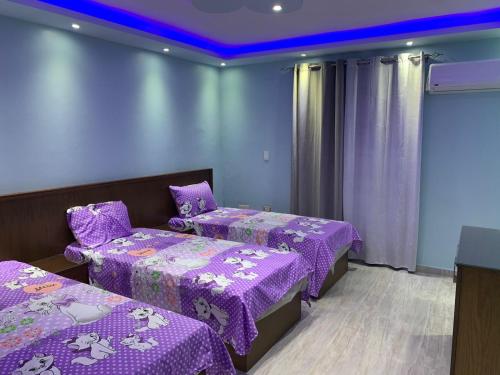 開羅的住宿－Osama Fwaz，一间设有两张紫色床单的床的客房