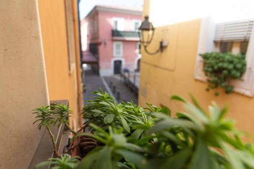 Zahrada ubytování Appartamento in centro