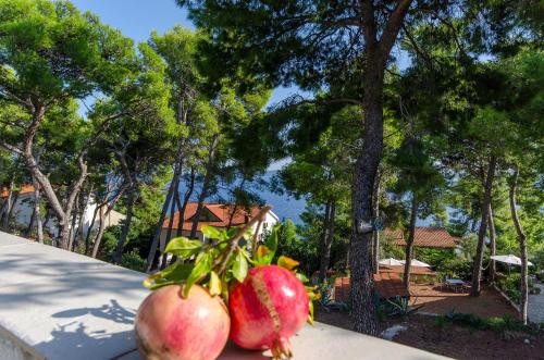 Apartments Bogovic – Photos 2