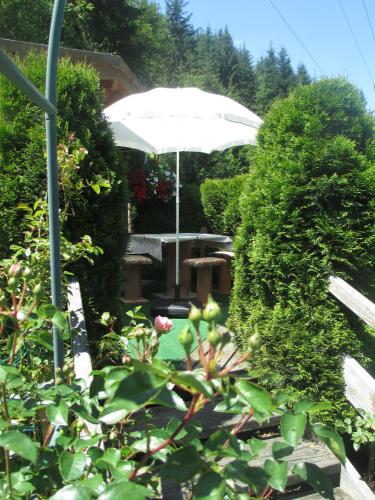 a garden with a white umbrella and some bushes at Schwarzenbacher in Lungötz