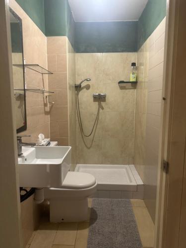 W łazience znajduje się prysznic, toaleta i umywalka. w obiekcie Bonita habitación en chalet w Barcelonie