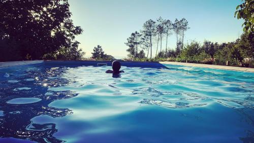 a swimming pool with blue water and trees in the background at Quinta Vale Salgueiro in Seia