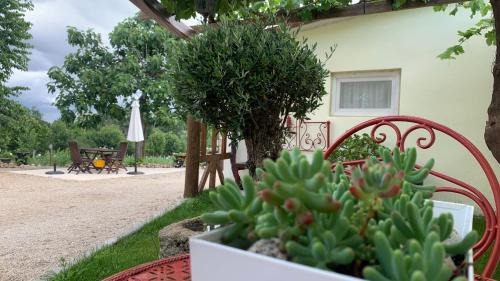 Zahrada ubytování Quinta Vale Salgueiro