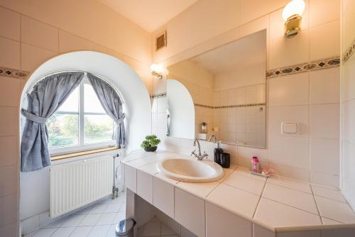 a bathroom with a sink and a mirror at Kaštieľ Sokoľany 