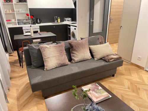 ein Wohnzimmer mit einer grauen Couch mit Kissen in der Unterkunft DG Apartment - Le Relais du Lac, proche Disneyland Paris in Lognes