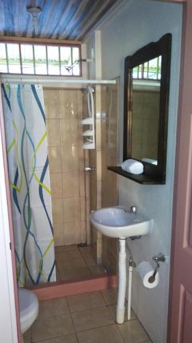 a bathroom with a sink and a shower with a mirror at Hostel Osa Tucan Corcovado in Drake