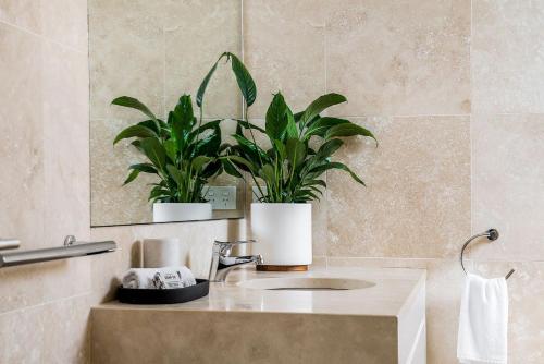 a bathroom with a sink and two potted plants at A Perfect Stay - Clique 1 in Byron Bay