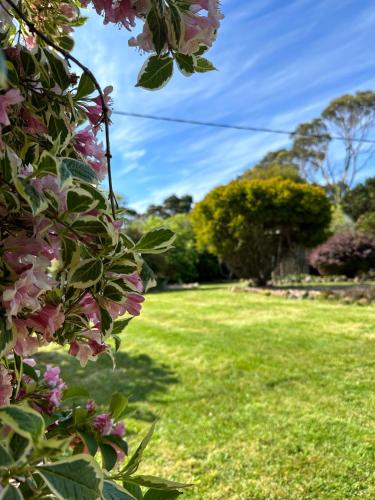 einen Rasen mit rosa Blumen im Hof in der Unterkunft Two Twenty Two Farm Stay in Grassy