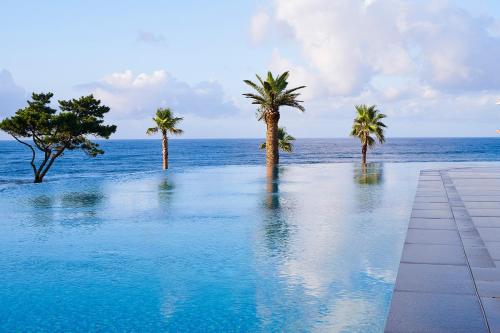 a swimming pool with palm trees and the ocean at Parnas Hotel Jeju in Seogwipo