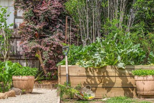 a garden with a bunch of vegetables in a garden at Mullum River House - waterfront heritage home in Mullumbimby