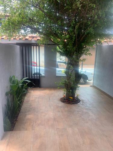 a tree in the middle of a courtyard at Brisa dos Anjos Suítes in Arraial do Cabo