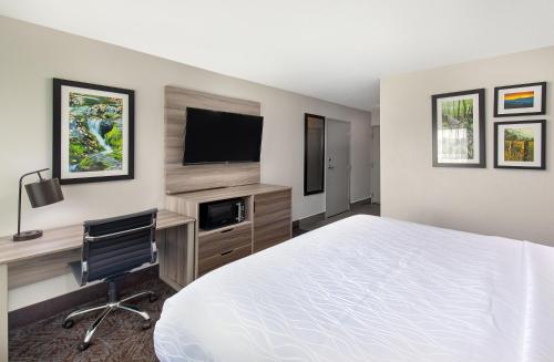 Μια τηλεόραση ή/και κέντρο ψυχαγωγίας στο La Quinta Inn by Wyndham Pigeon Forge-Dollywood