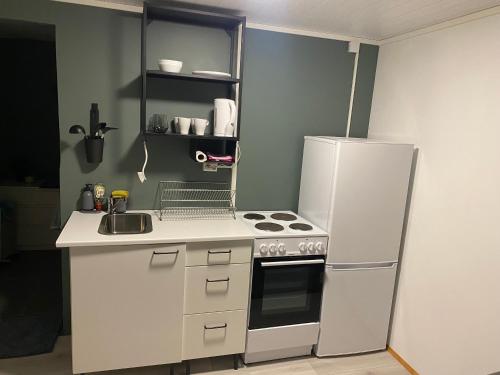 a small kitchen with a refrigerator and a sink at K&F Apartment in Keflavík