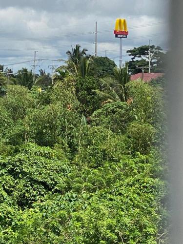 Landskap semula jadi dekat dengan motel