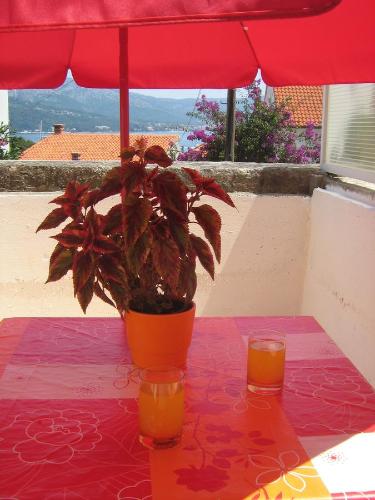 una maceta sentada en una mesa bajo un paraguas en Linda Apartment, en Korčula