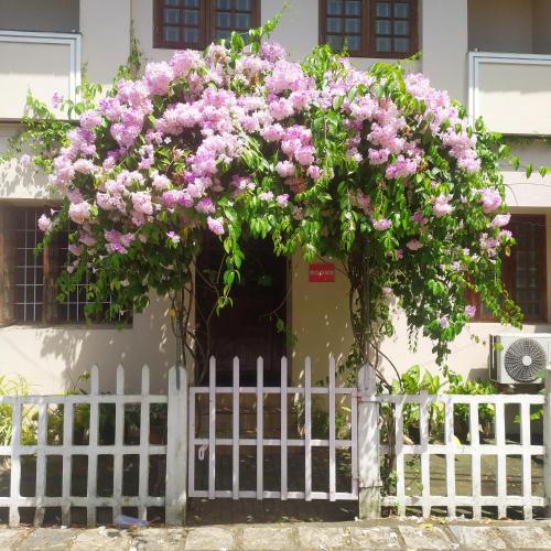 Фотография из галереи Sundance Beach Villa в Коччи