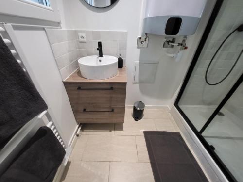 une petite salle de bain avec un lavabo et une douche dans l'établissement Bienvenue chez ANOUK, à Châlons-en-Champagne