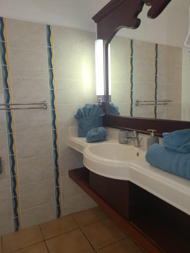 ein Bad mit einem Waschbecken und einem Spiegel in der Unterkunft Studio vue mer sainte Luce in Sainte-Luce