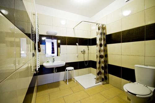 a bathroom with a toilet and a sink at Willa Kolor in Ustroń