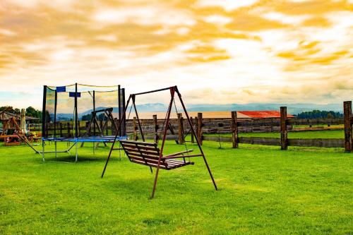 two swings in a grassy field with a bench at Ranczo Zwierzyniec Noclegi in Jordanów