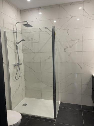 une salle de bain avec une douche en verre et des toilettes dans l'établissement Appart 3p RDC Orangerie- Parlement européen, à Strasbourg