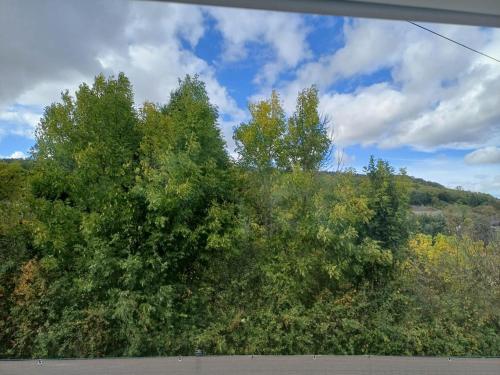 a group of trees on the side of a hill at Le 4G Home Plain-pied #2Chb-3lits #Terrasse #Parking Securisé in Crépand