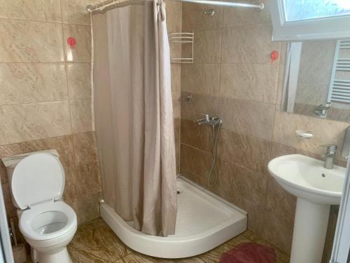 a bathroom with a shower and a toilet and a sink at Hostel FORREST in Kutaisi