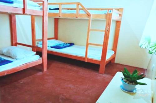 a room with two bunk beds and a table at Angler's Hub & Resort Oslob in Oslob