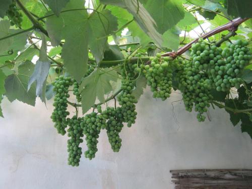 B&B A casa delle zie