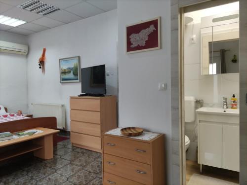um quarto com uma casa de banho com um lavatório e uma secretária em Soba Kolovrat em Straža