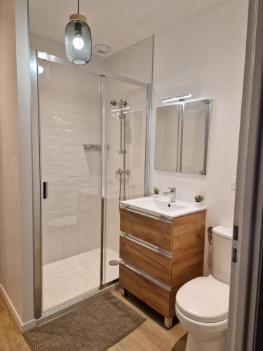 ein Bad mit einer Dusche, einem WC und einem Waschbecken in der Unterkunft AP1 37m2 à 200 m du Capitole in Toulouse
