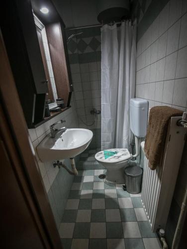 uma casa de banho com um lavatório, um WC e um chuveiro em Central apartment's in Trikala em Trikala