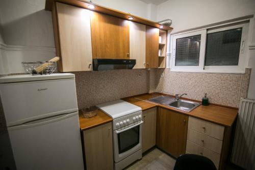 Elle comprend une petite cuisine équipée d'un évier et d'un réfrigérateur. dans l'établissement Central apartment's in Trikala, à Tríkala