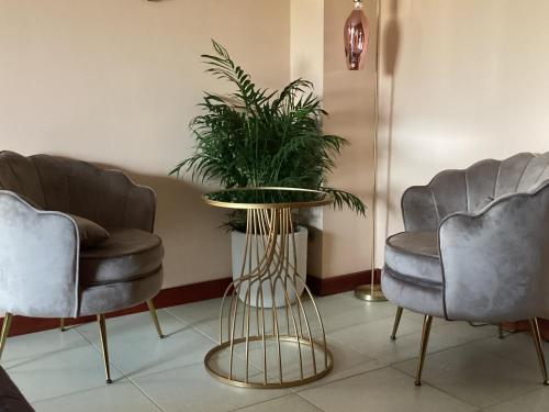 ein Wartezimmer mit zwei Stühlen und einem Tisch mit Pflanze in der Unterkunft B&B Verdi in Lecce