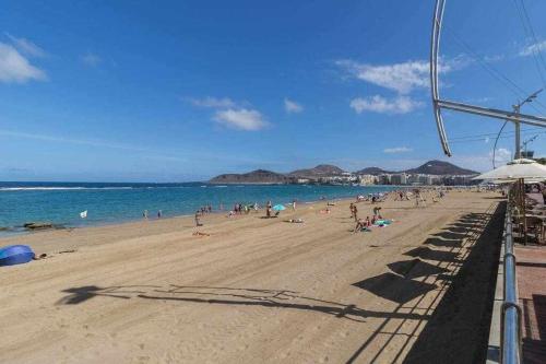Oli Coral Canteras