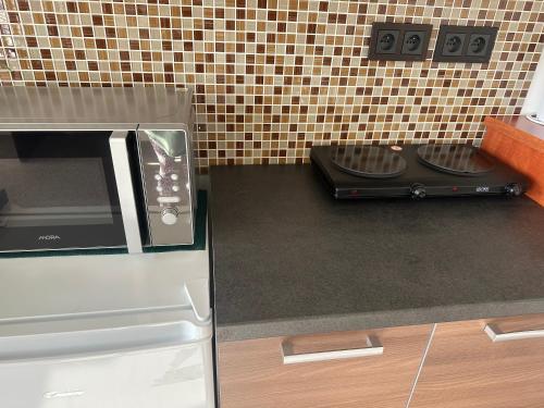 a kitchen with a microwave and a stove at Pod Klíčem in Svor