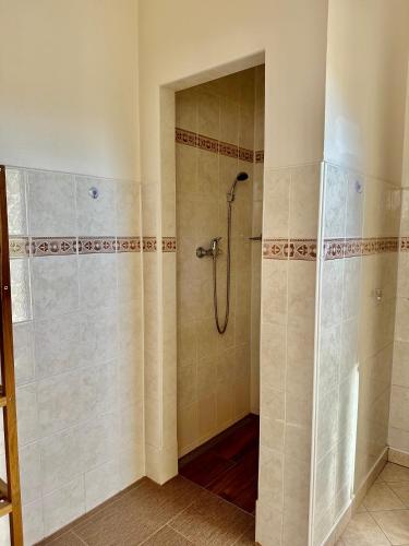 a bathroom with a shower with a glass door at Pod Klíčem in Svor