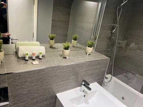 a bathroom with a couch and potted plants in a mirror at Fantastic Liverpool City Centre Apartments, Fenwick Street in Liverpool