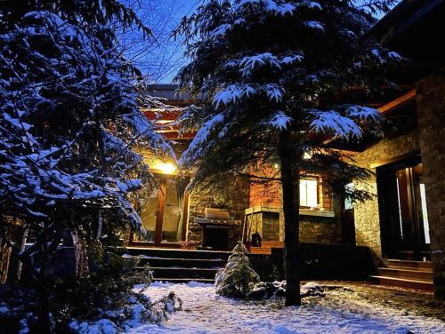a house with a snow covered tree in front of it at Bazalt Wellness Villa in Harghita-Băi