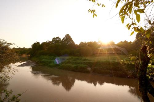 Talek的住宿－Emboo River Camp，一条阳光反射在水面上的河流