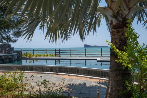 una palmera con el océano en el fondo en Luxury beachfront duplex, Coin de Mire view / 3Bed, en Cap Malheureux
