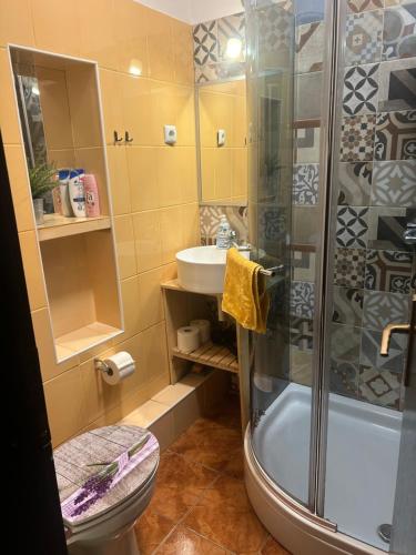 a bathroom with a shower and a toilet and a sink at Elena Rooms Split in Split
