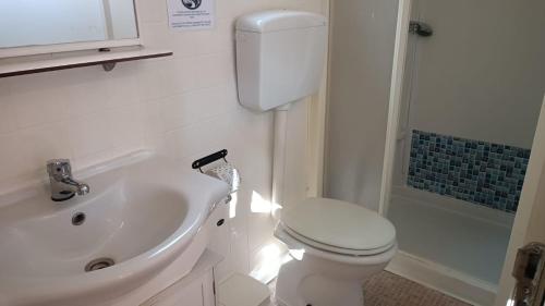 a bathroom with a toilet and a sink and a shower at Bolsena Holiday House in Bolsena